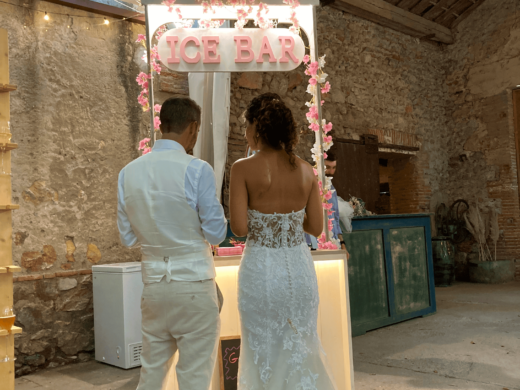 ALT 1